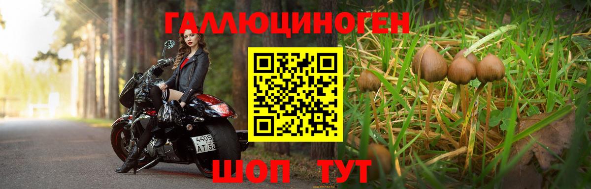 Чебоксары  Галлюциногенные грибы ЛСД  Вход с VPN 